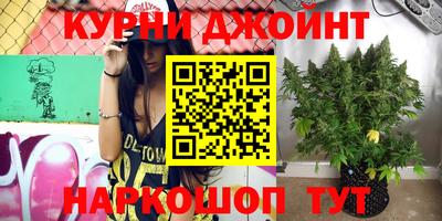 мдпв Гагарин