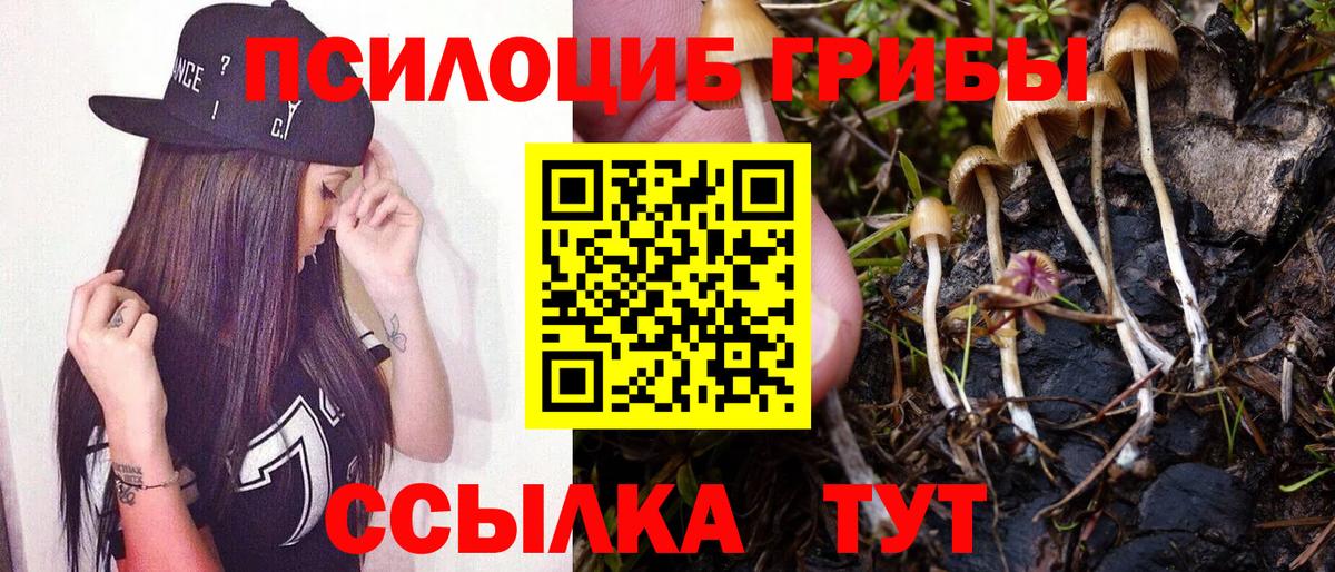 Галлюциногенные грибы MAGIC MUSHROOMS  Галлюциногенные грибы прущие грибы  Назарово  купить наркоту  Вход с VPN 